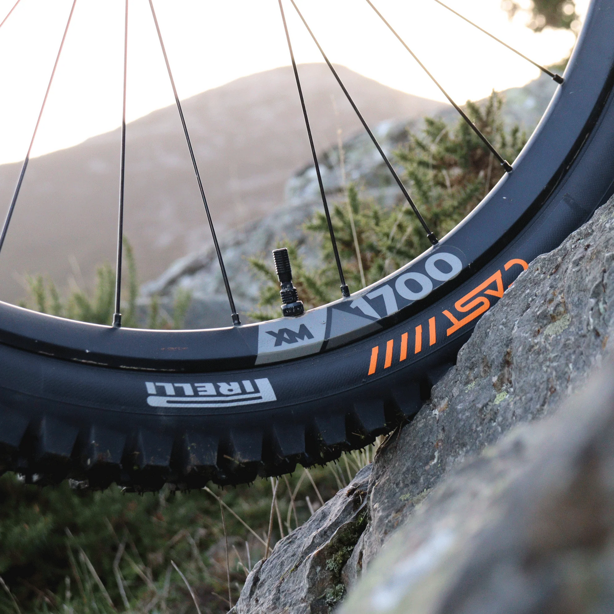 Plášť Pirelli CAST Protagonist DW, 29x2.4, DualWALL, 120 tpi, SmartEVO DH, černý